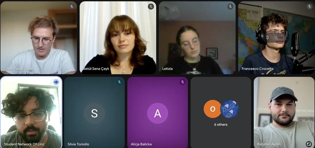 The It is OK! pre-project meeting, held online