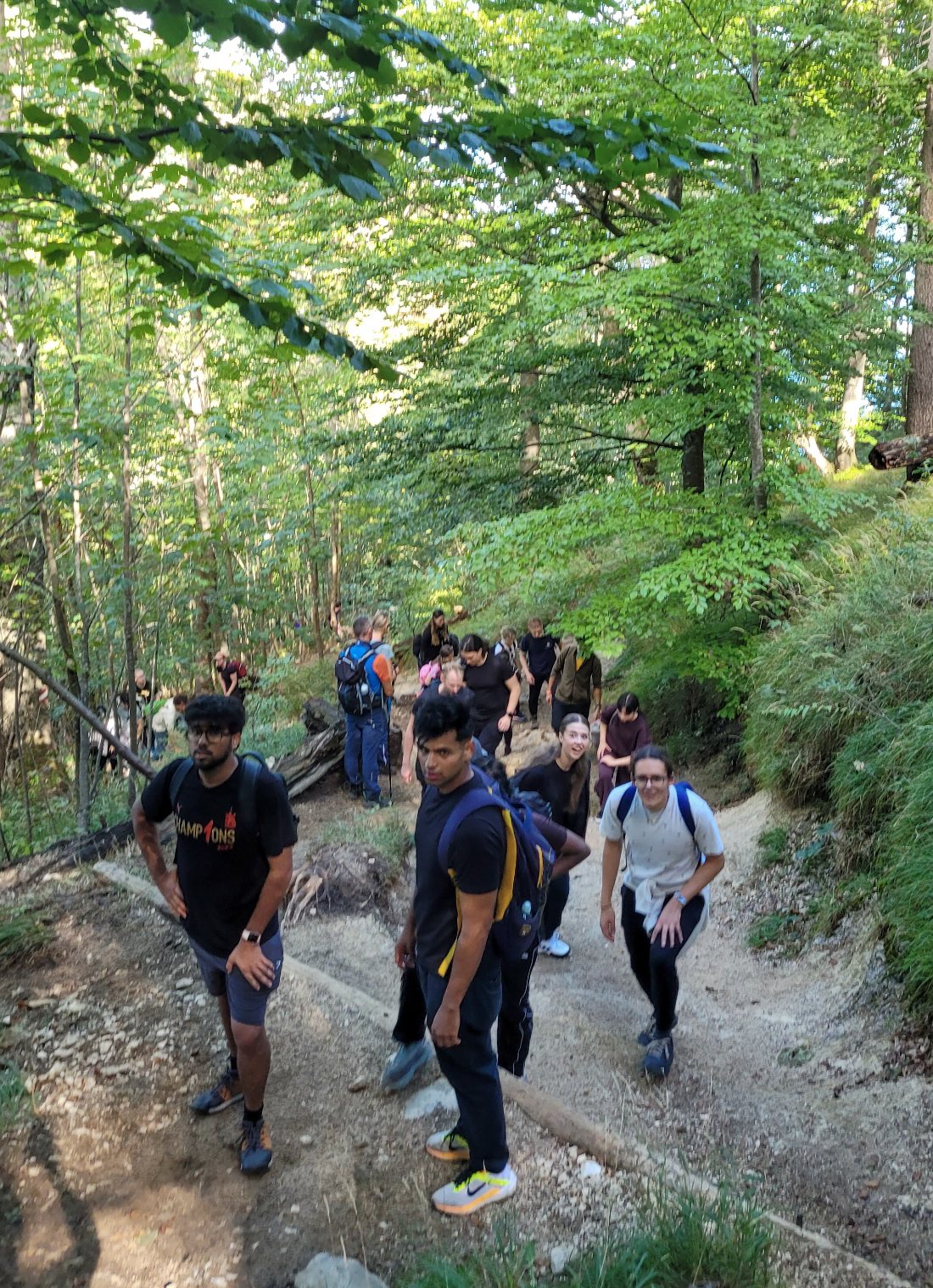 Hikers on a forest trail on the way up